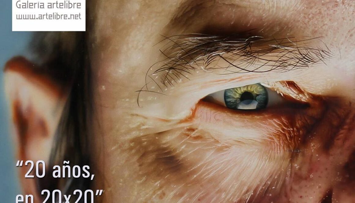 Galeria artelibre Exposición “20 años, en 20×20”