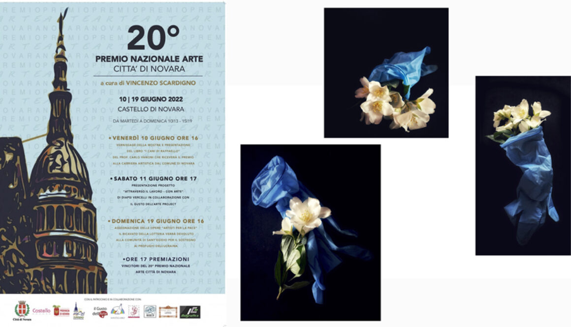 20° Premio Arte Novara