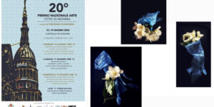 20° Premio Arte Novara