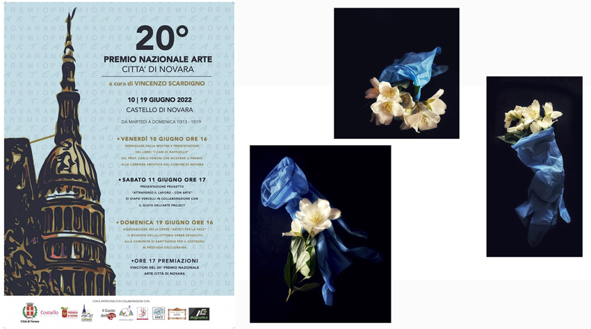 20th Novara Art Prize