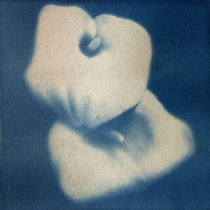 cyanotype02 cyanotype02