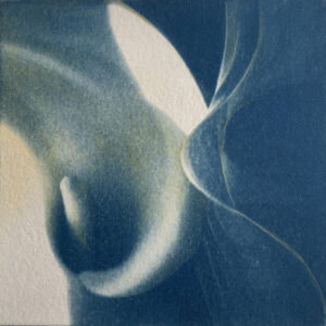 cyanotype03 cyanotype03