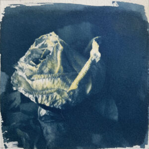 cyanotype05 cyanotype05