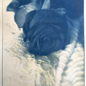 cyanotype10 cyanotype10