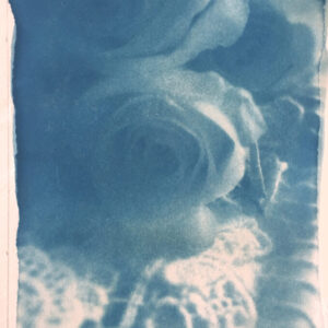 roses and lace roselline e pizzo
