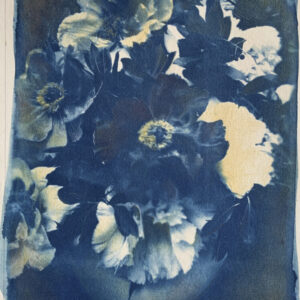 vase of peonies vaso di peonie