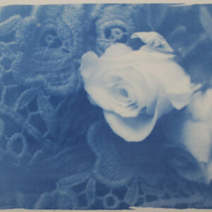 poetry | cyanotype on paper | 20 x 28.5cm. Poetry | cianotipo su carta | 20 x 28,5 cm.