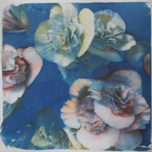 Astonishment | cyanotype and watercolors on paper | 20x20cm Stupore | cianotipo e acquerelli su carta| 20x 20 cm