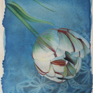 "canto di primavera", 2023 | cianotipo,matite colorate su carta | 12 x 18 cm. "canto di primavera", 2023 | cianotipo,matite colorate su carta | 12 x 18 cm.