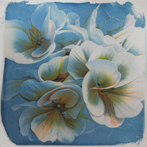 Awakening”, 2023 Cyanotype, watercolors and colored pencils on paper 20x20cm. Risveglio”,2023 Cianotipo,aquerelli e matite colorate su carta 20x20cm.