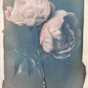 be a flower #9 essere un fiore #9