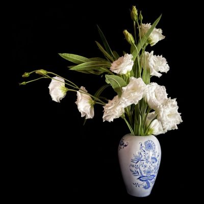 Lisianthus #1 con vaso bianco e blu 20x 23 mis piccola