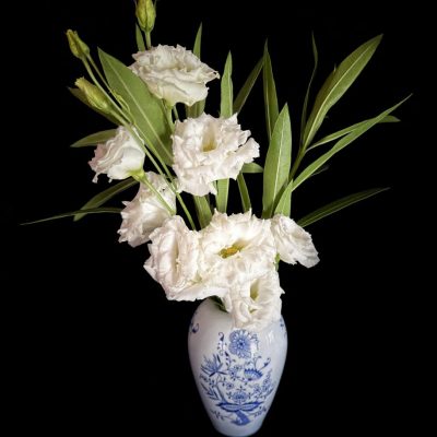 Lisianthus #2 fioribianchi vaso bianco e blu 25x28 formato piccolo
