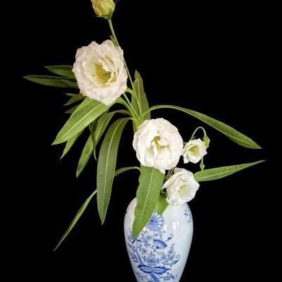 Lisianthus #5fiori bianchi vaso bianco40x50 misura media