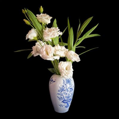 Lisianthus #6fiori bianchi vaso bianco 25x 25 misur piccola